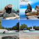 行船公園・自然動物園