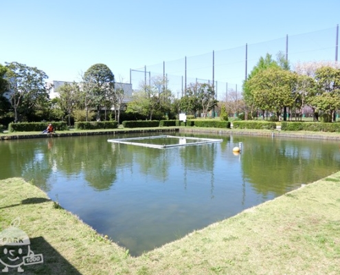 釣り池