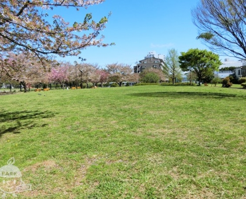 草花広場