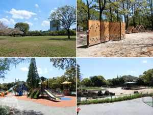 木場公園
