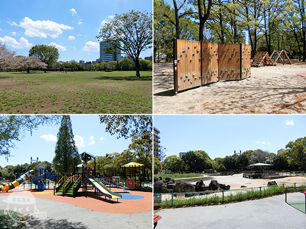木場公園