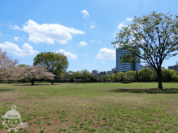 ふれあい広場