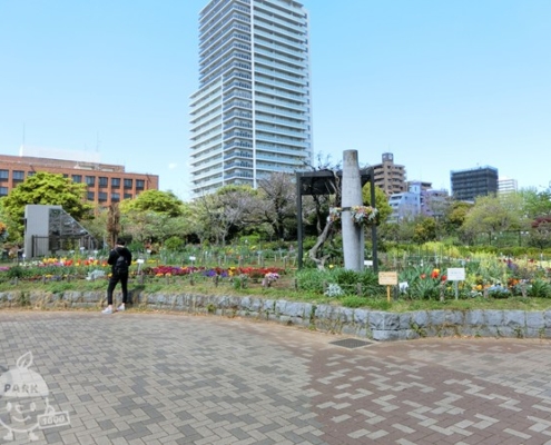 都市緑化植物園