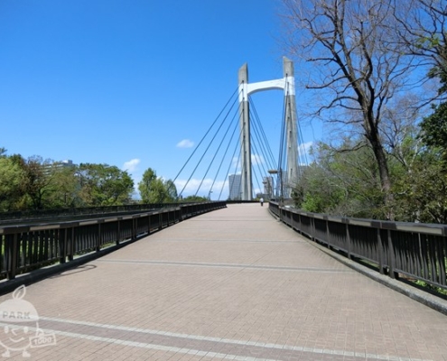 木場公園大橋