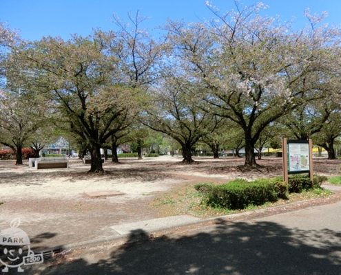バーベキュー広場