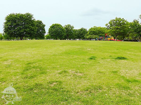 芝生広場