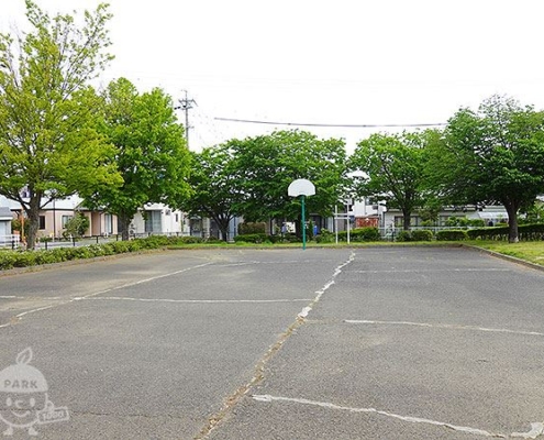 スポーツ広場