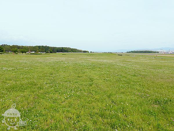 大芝生広場