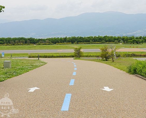 信州スカイロード