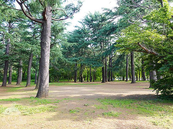 バーベキュー広場