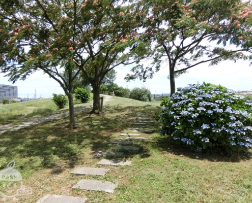 園内の様子 園内の様子