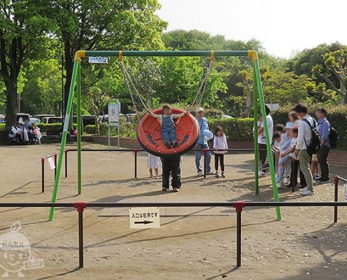 インクルーシブブランコ