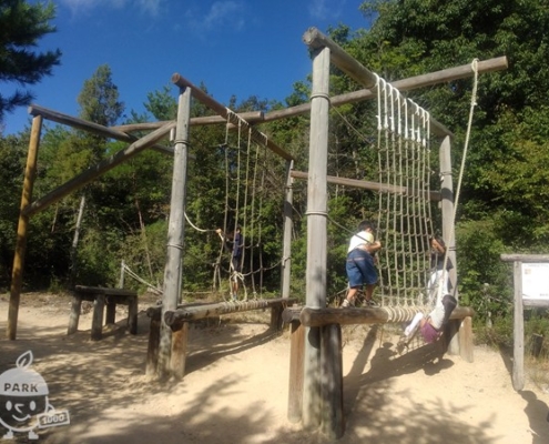 びっくりとびつき