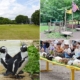 智光山公園・こども動物園