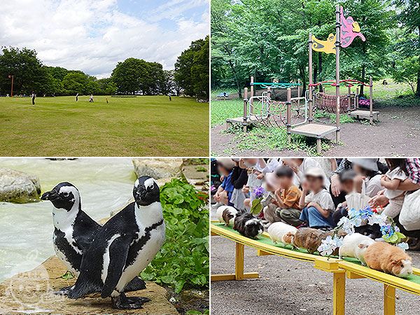 智光山公園・こども動物園