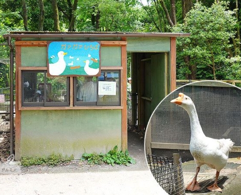 ガァガァひろば