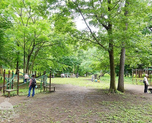 【智光山公園】わんぱくの森