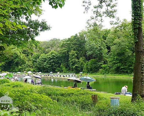 ファミリー釣場（有料）