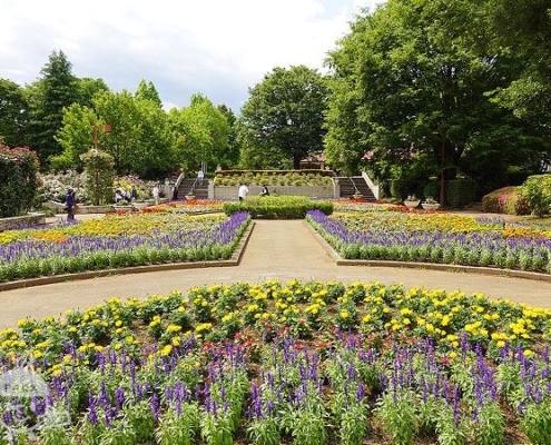 都市緑化植物園