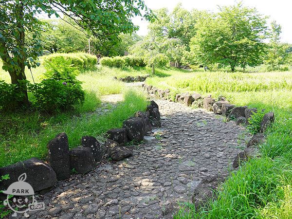 ジャブジャブ池
