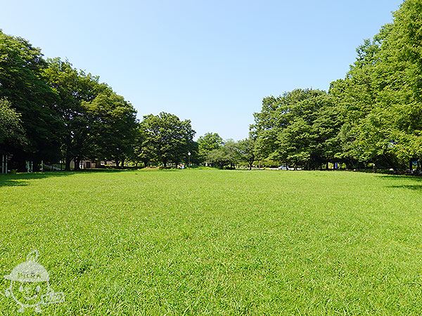 芝生広場