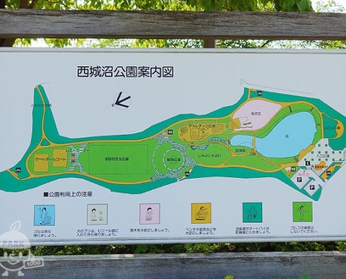 公園案内図