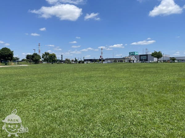 芝生広場 芝生広場