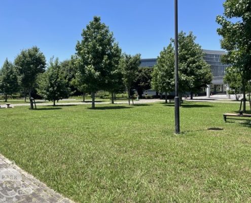 木もれび広場 木もれび広場