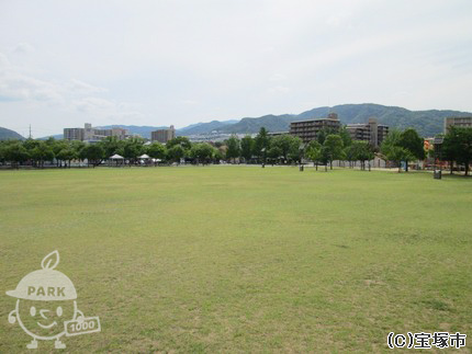 芝生広場 芝生広場