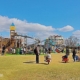 ひまわりの丘公園