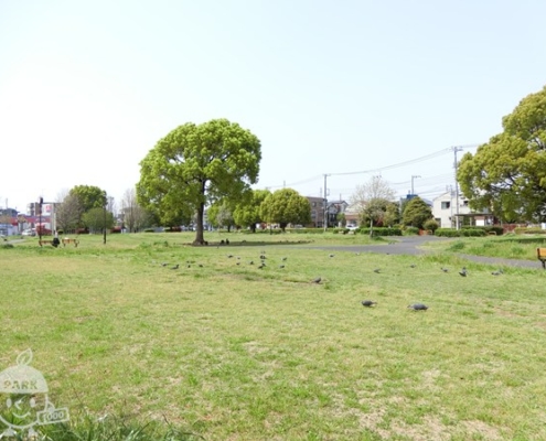 【B地区】広場