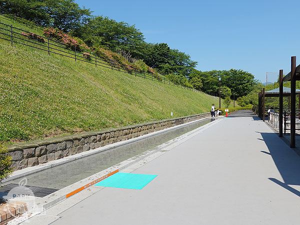 水遊びの場