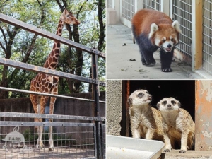 羽村市動物公園