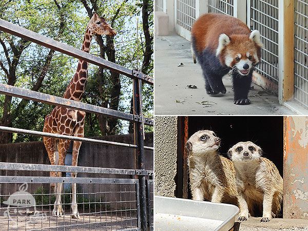 羽村市動物公園