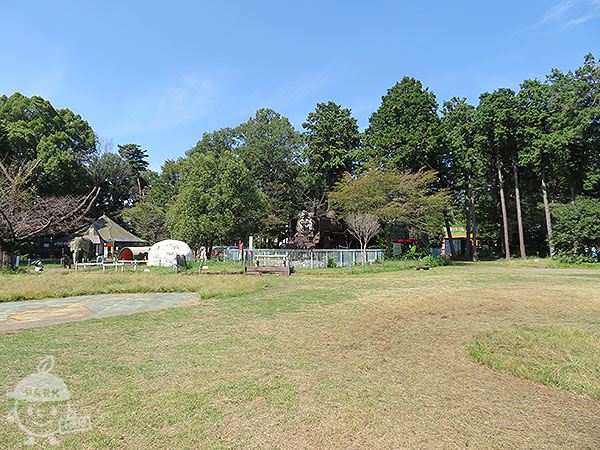 芝生広場