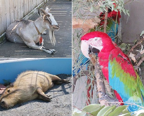 なかよし動物園