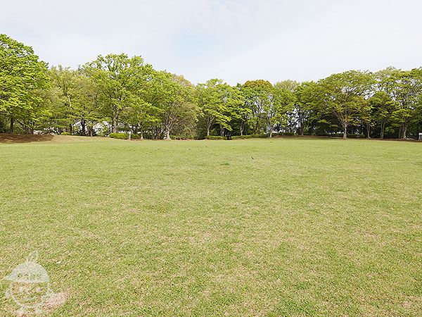 芝生の広場