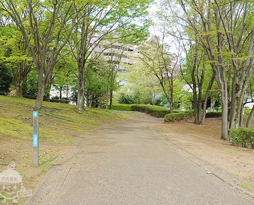 園路