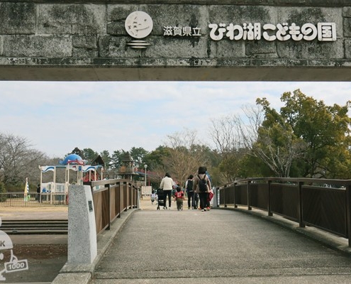 入口 入口