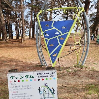 クァンタム クァンタム